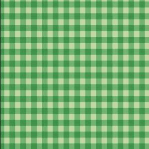 Pre-order: Bobbeez gingham groen - katoen tricot